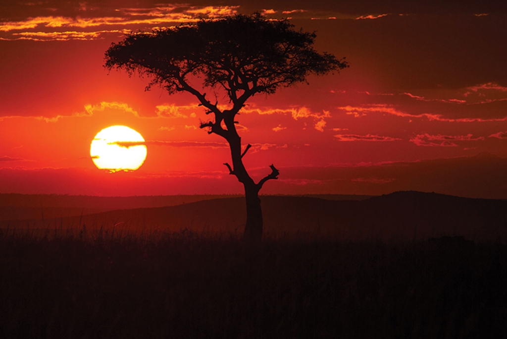 Golden Sunsets, Maasai Mara
